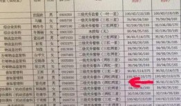 大连海关最新爆料信息,最新走私案件曝光，严打跨境违法行为