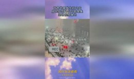 乌鸦最新爆料视频,揭秘娱乐圈惊人内幕